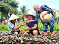Du lịch nông thôn – Cánh cửa mới cho phát triển kinh tế xanh