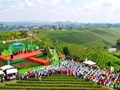 Festival Trà Quốc tế 2026: Đưa văn hóa trà thành đòn bẩy thương mại thực chất