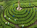 Đổi mới kinh tế nương đồi tại Thái Nguyên