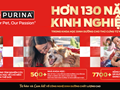 Các dấu hiệu đơn giản giúp đánh giá sức khỏe của mèo cưng