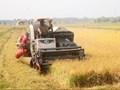 Kinh tế tuần hoàn – Chìa khóa nâng cao giá trị nông sản Việt