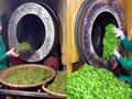 Chè Việt và cuộc cách mạng chế biến: Sáng tạo để vượt giới hạn tự nhiên