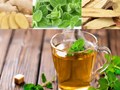 3 loại trà thảo mộc tăng cường miễn dịch cho ngày giao mùa
