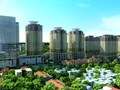 Khi nhu cầu ở thực dẫn dắt thị trường: Cơ hội cho nhà đầu tư dài hạn