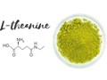 L–Theanine: Acid amin đặc biệt trong trà