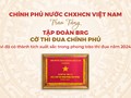 Tập đoàn BRG được trao tặng Cờ Thi đua Chính phủ