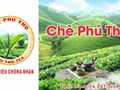 Nhãn hiệu chứng nhận giúp chè Phú Thọ nâng cao sức cạnh tranh