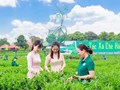 Thái Nguyên: Đẩy mạnh ứng dụng khoa học công nghệ đến với người dân vùng chè