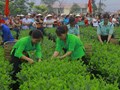  Nâng tầm thương hiệu chè Đại Từ