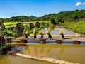 Phú Thọ: Huyện Thanh Sơn tăng tốc về đích nông thôn mới năm 2025