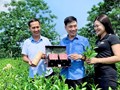 Tuyên Quang: 5 sản phẩm được công nhận sản phẩm công nghiệp nông thôn tiêu biểu khu vực phía Bắc năm 2024