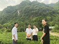 Thái Nguyên: Hợp tác xã trà an toàn Phú Đô phát triển du lịch nông nghiệp, hướng đi bền vững