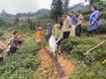 Lào Cai: Hướng dẫn nâng cao ý thức sử dụng thuốc bảo vệ thực vật cho người trồng chè