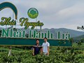 Hợp tác xã trà Cao Sơn: Phát triển du lịch sinh thái gắn với hoạt động sản xuất