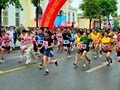 Hà Tĩnh tổ chức Ngày chạy Olympic 2026 vì sức khỏe toàn dân