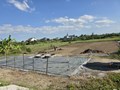 Giữa nắng như đổ lửa, diêm dân Hà Tĩnh oằn mình giữ nghề muối truyền thống