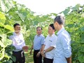 Sơn Tây- Hà Tĩnh: Lan tỏa sản xuất nông nghiệp an toàn, hữu cơ