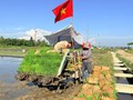 Thạch Hà đẩy mạnh cơ giới hóa, từng bước hiện đại hóa sản xuất lúa