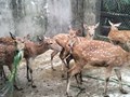 Hà Tĩnh dành hơn 9,8 tỷ đồng hỗ trợ sinh kế cho người dân khó khăn
