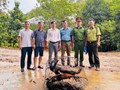Người dân Hà Tĩnh tự nguyện giao nộp nhiều động vật quý hiếm