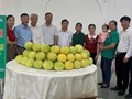 Đầu tư nâng tầm sản phẩm OCOP Hà Tĩnh, hướng ra thị trường lớn