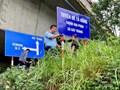 Bão số 3 áp sát, Thủ tướng yêu cầu huy động tổng lực ứng phó