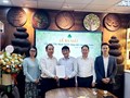 Chè Shan tuyết vùng núi cao tìm hướng nâng giá trị từ liên kết và chuẩn hóa