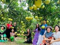 Bắc Ninh rộn ràng mùa thu hoạch cam, bưởi và Lễ hội trái cây 2025