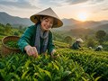 Giảm thuế, cải cách thể chế: Cú hích cho doanh nghiệp