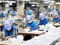 Doanh nghiệp TP.Hồ Chí Minh đổi đầu mối nộp kinh phí công đoàn từ ngày 1/9