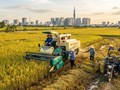 TP.Hồ Chí Minh định hình nông nghiệp đô thị, tạo nền tảng cho nông thôn mới