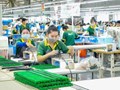 TP.HCM hỗ trợ doanh nghiệp bảo hộ và khai thác tài sản trí tuệ