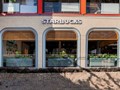 Starbucks thử nghiệm phân khúc trà sữa để mở rộng thị phần tại Việt Nam