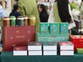 Trà cổ thụ Minh Lam đồng hành cùng hạng mục pha chế tại Tea Masters Cup 2026