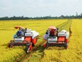 Hướng tới nền nông nghiệp xanh, tuần hoàn và có trách nhiệm với môi trường toàn cầu