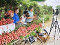 Nông dân Việt thay đổi cách chinh phục thị trường