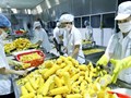 Trung Quốc siết quản lý thực phẩm nhập khẩu, ngành sầu riêng bước vào giai đoạn kiểm soát khắt khe hơn