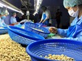 Trung Quốc siết kiểm soát từ 1/6, nông sản Việt đối mặt áp lực chuẩn hóa