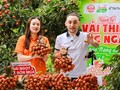 Livestream mở lối tiêu thụ mới cho vải thiều Bắc Ninh