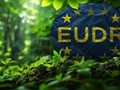 EU lùi áp dụng EUDR đến cuối 2026, nông sản Việt có thêm thời gian thích ứng