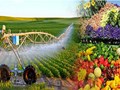 Nông nghiệp Việt Nam trước áp lực chuyển đổi xanh và cuộc đua công nghệ 