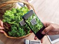 Truy xuất nguồn gốc nông sản tăng tốc: Từ yêu cầu kỹ thuật thành “tấm hộ chiếu số” cho xuất khẩu