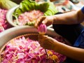 Tinh hoa trà sen qua đôi tay nghệ nhân