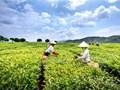 Chuyển đổi số mở đường cho nông sản Việt bứt phá