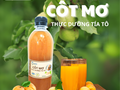 Cốt mơ thực dưỡng tía tô – Giọt cân bằng từ thiên nhiên
