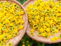 Loại trà ngọt thanh giúp cải thiện thị lực, ổn định đường huyết