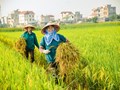 Tam nông luôn là trụ đỡ của nền kinh tế