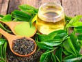 Một tách trà mỗi ngày - Lá chắn chống viêm hiệu quả