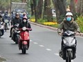 Nghe đài báo gió mùa Đông Bắc