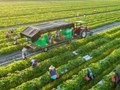 Nông nghiệp Việt Nam: Vững vàng trên hành trình xanh hóa và bứt phá xuất khẩu
